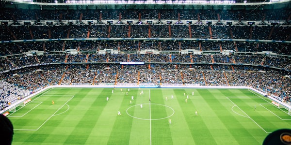 足球比赛精彩瞬间球迷欢呼庆祝进球